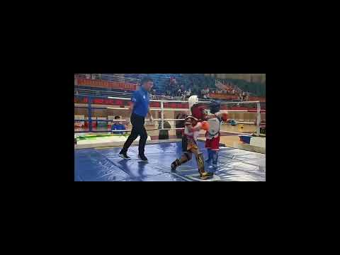 ~子甄彣璟~戰牌 拳擊 面罩頭盔 泰拳 跆拳道 搏擊全防護頭盔 護頭套 頭套 散打 練習護具 運動 格鬥頭套