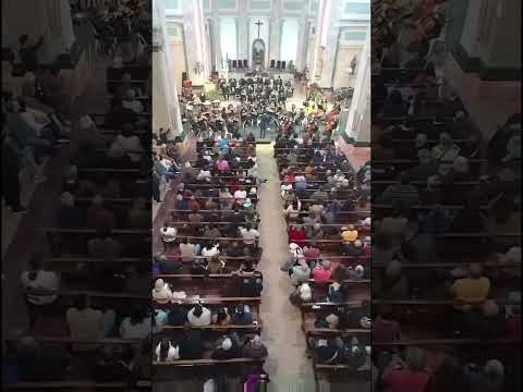 viedma rio negro virgen de la merced