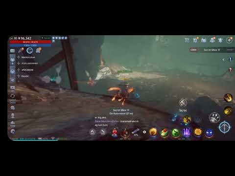 Mir4 - Crazy Playboy