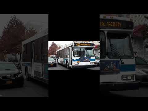 B 20 Bus