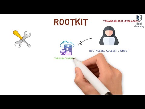 What are Rootkit, Backdoor; and Sprying and Dictionary password attacks.