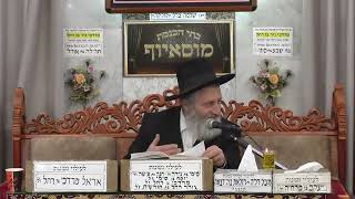 הרב אברהם מוסלי | הלכות סת"ם | מוסאיוף (בית הכנסת מוסאיוף - ערוץ חדש) - התמונה מוצגת ישירות מתוך אתר האינטרנט יוטיוב. זכויות היוצרים בתמונה שייכות ליוצרה. קישור קרדיט למקור התוכן נמצא בתוך דף הסרטון