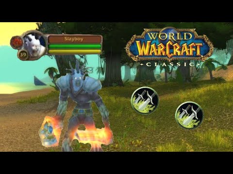 Stranglethorn Vale World PvP On 39 Twink Rogue - WoW Classic Era Whitemane Server June 2023