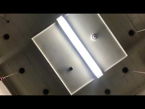 Grandsire Doubles At Poplar, Middlesex