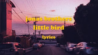 Little Bird - Jonas Brothers (Lyrics)
