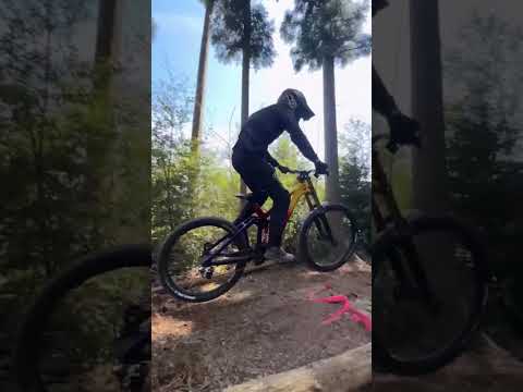 โดดทีเดียว เสียสองแสน