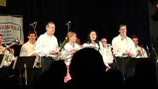 MUZIKANTI z JIŽNÍCH ČECH - Moje Česká vlast MUZIKANTI z JIŽNÍCH ČECH - Moje Česká vlast