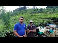 අක්කරයට දළු 1000 කිලෝග්‍රෑම් එච්චර අමාර�