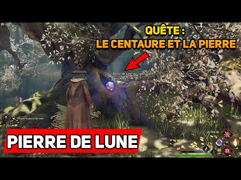 Comment trouver la Pierre de Lune - Quête Le centaure et la pierre Hogwarts Legacy