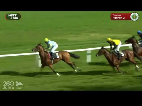 Galopprennbahn Dresden   24 09 2022   - 2.Rennen