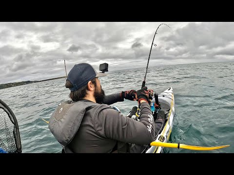A Quick Session On The Lures - Bass, Mackerel & Bream - Surface Lures - Kayak Fishing Uk