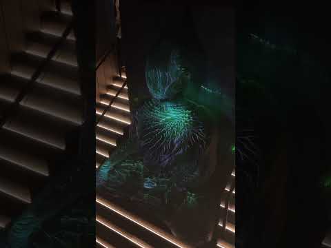 Buddha-bar restaurant       New York #restaurant #manhattan #luxuryplaces #celebrity #fashion