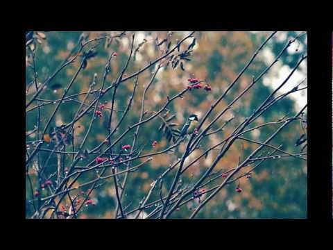 Video thumbnail for Holding a Heart