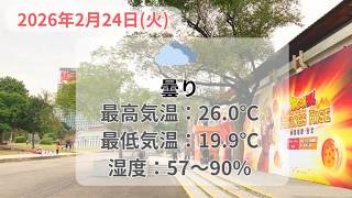 2026年2月24日（火） 台北の天気と服装  #台北 #天気 #服装 #2月
