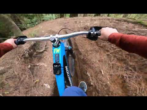 Whakarewarewa Forest Rotorua  - Kung Fu Walrus stage 2 (spring season)