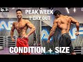 Condition Or Size Dekh Kar Hil Jaoge | Peak Week | Road To Sheru Classic | Ep. 21