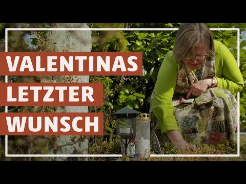 Valentinas letzter Wunsch - Wie eine Familie den Krebs überlebte | HELDENLÄNDLE | Regio TV