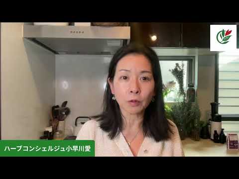医療ビジネス薬科学科 スパイスを解説