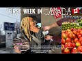 MY FIRST WEEK IN CANADA Ontario Airbnb Tour Shopping Cooking Nigerian Stew In Canada