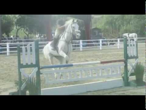 HaPpY bIrThDaY aNsLeY