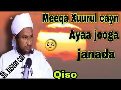 Jannada iyo Xuurul ceynta joogta Sheekh xuseen cali jabuuti qisooyin