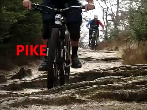 Fox36 vs Pike Compression test