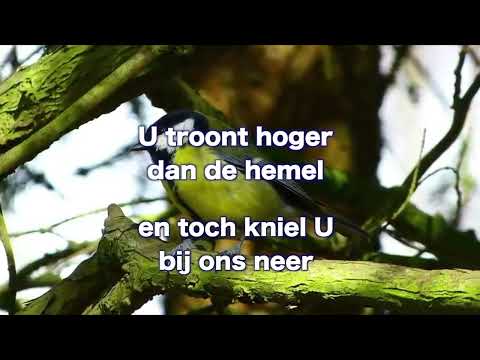 Opwekking 806 Soeverein