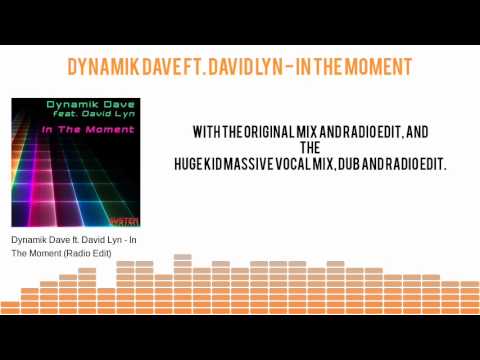 Dynamik Dave ft. David Lyn 'In The Moment' (Sampler)