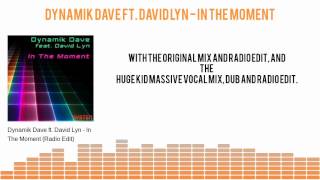 Dynamik Dave ft. David Lyn 'In The Moment' (Sampler)