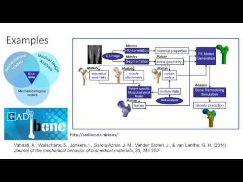 BMES Webinar: A Role for Computational Modeling in Medical Practice