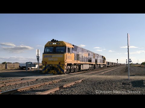 3XM4 Pacific National Steel Train & John Deere Tractor At Railway Crossing (2/8/2023) - PoathTV