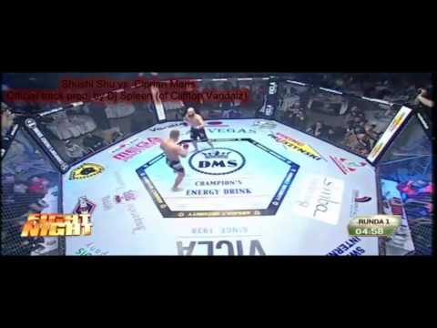 Shushi Shu vs. Ciprian Maris (Official MMA track) (prod. by Dj Spleen)