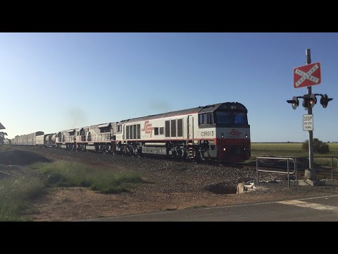 SCT Logistics 4PM9 CSR013 SCT009 SCT006 pass Mallala