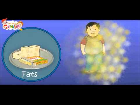 Nutrition (Food ) Table Video for Kids-Food Pyramid -Heathy Diet