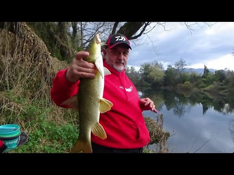 FEEDEROM NA MRENE JESENJE - Ninoslav Žagar