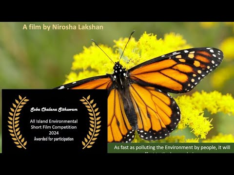 Poison Tears, Film by Nirosha Lakshan,  Soba  Chalana Sithuwam All Island Short film competition2024