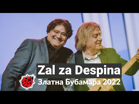 Naum Petreski - Zal za Despina - Наум Петрески - Жал за Деспина - ZLATNA BUBAMARA 2022