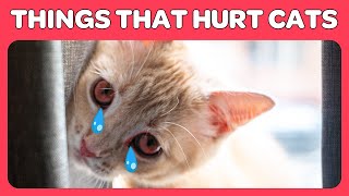 14 Things You Do That Hurt Your Cat You Must Stop 
