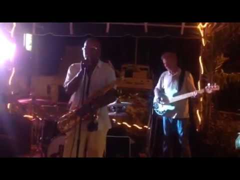 Live Blues: Darryl Ray w/ Rockett 88 band 9 below zero
