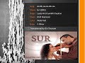 Instrumental - Aa Bhi Jaa - Sur (2002)