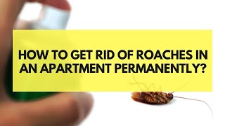 How To Get Rid Of Roaches In An Apartment Permanently