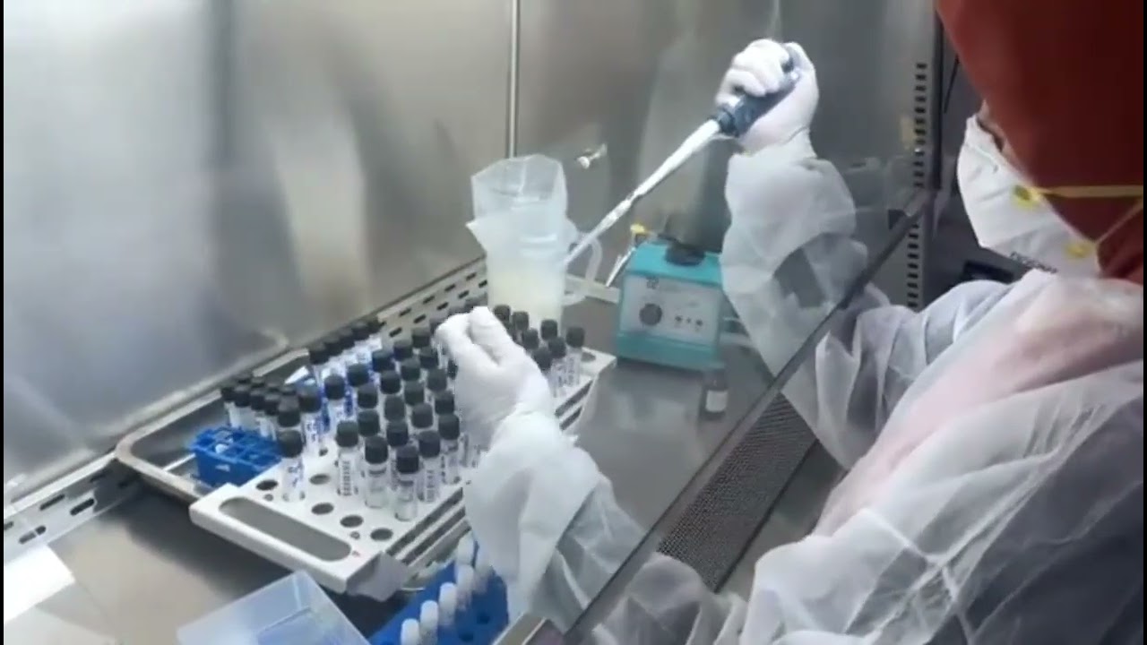 Pentingnya Pemeriksaan Laboratorium