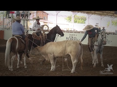 1st place TERNA Hermanos Muñoz - Arena Vallarta 2017