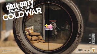 【CoD:BOCW】クソAIMだらけ・ω・【FPS】【SR】