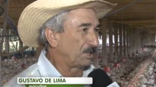 Miniatura do vídeo