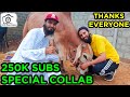 250K Subscribers Special Collab With AR Maani Cattle Market Karachi Bakra Eid 2021 Eid Ul Adha 2021