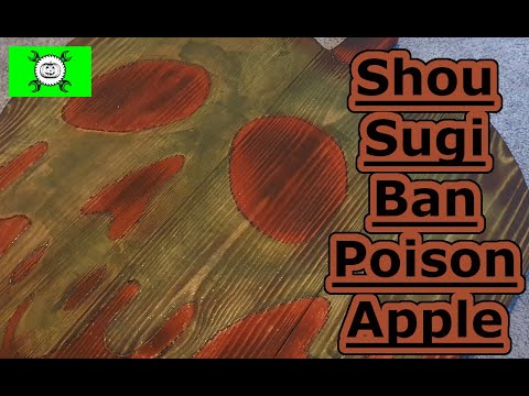 Shou Sugi Ban Wood Finish, Disney, Snow White Poison Apple Sign, Pyrograph