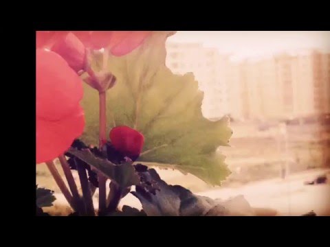 Shpresa bukuroshe lales 2016