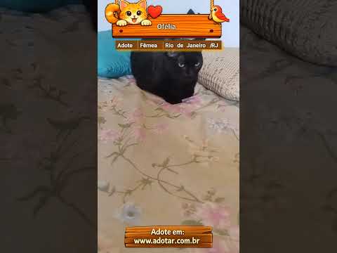Vídeo de Ofélia