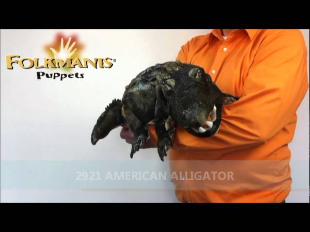 Video Teaser für 2921 Folkmanis American Alligator